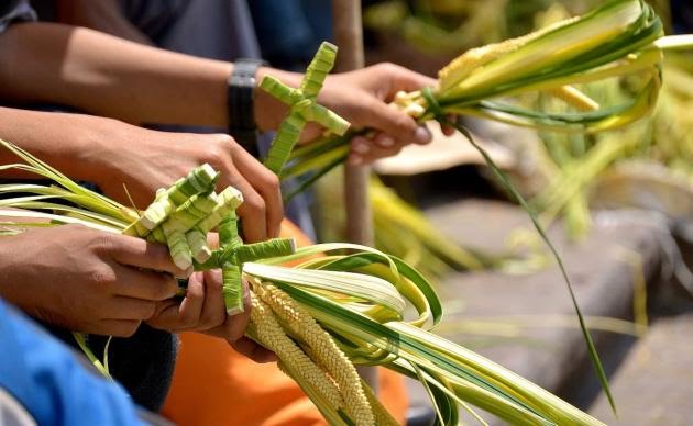 Lee más sobre el artículo Con fe, devoción y ánimo católicos celebran el domingo de ramos.