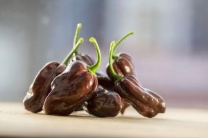 Lee más sobre el artículo Chile habanero chocolate todo lo que debes saber