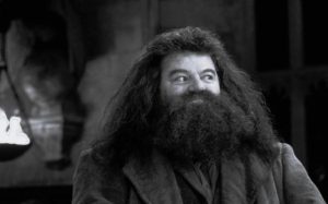 Lee más sobre el artículo Muere Robbie Coltrane, el actor que interpreta al entrañable gigante Hagrid en la saga de Harry Potter