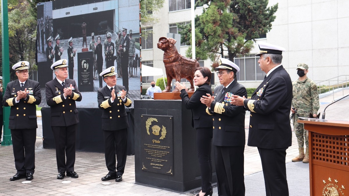 En este momento estás viendo Develan esta estatua de Frida, perrita rescatista